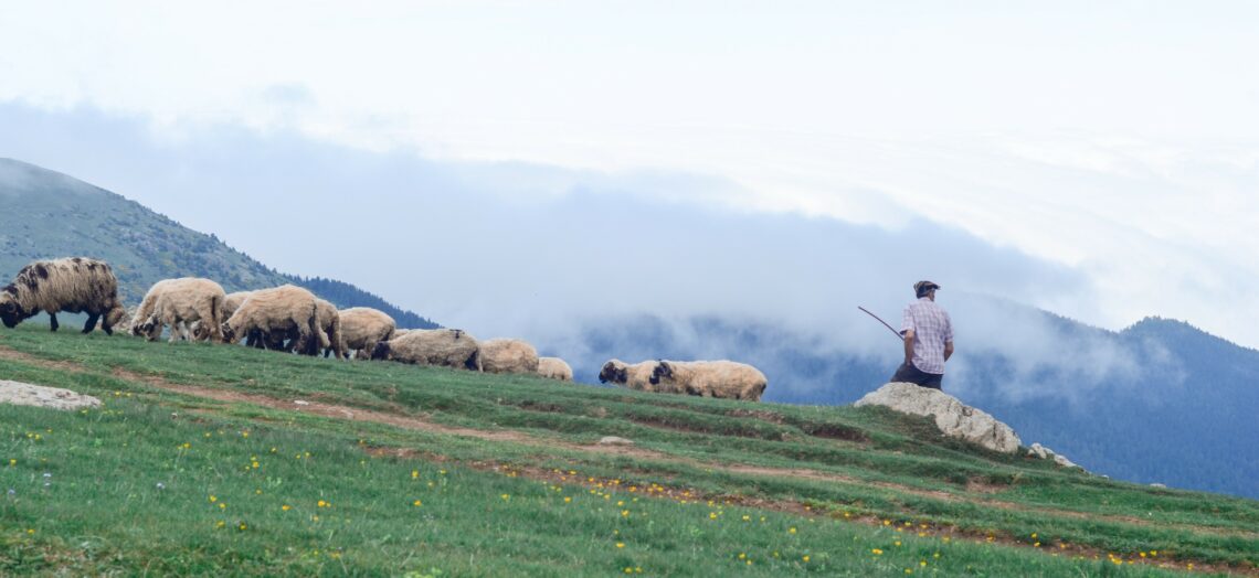 Why Maintaining a Healthy Lifestyle is Important - The ...