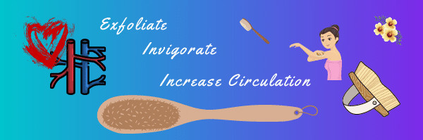 Dry-Brushing-Exfoliates-Invigorates-Increases-Circulation