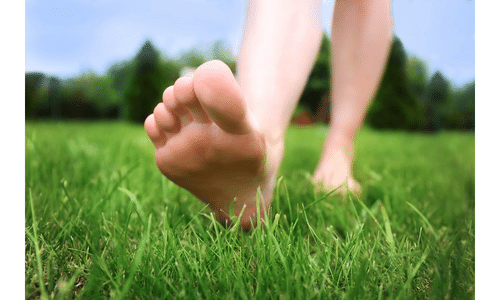 Rebounding-shoes-socks-or-barefoot
Image of bare feet in the grass