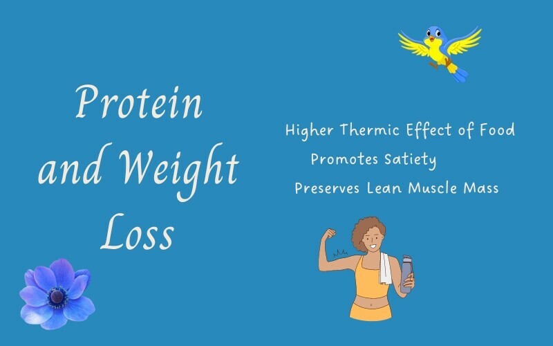 does-protein-help-lose-weight