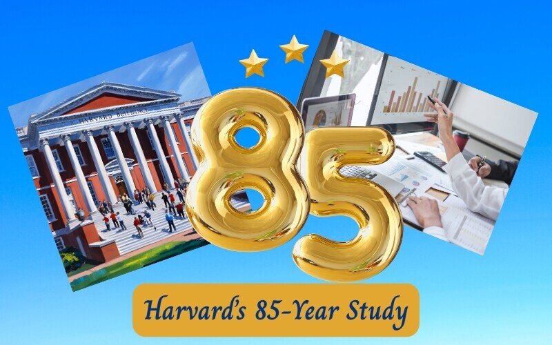 the-harvard-happiness-study - Large golden number 85 balloon