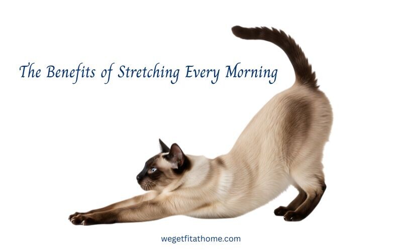 the-benefits-of-stretching-every-morning